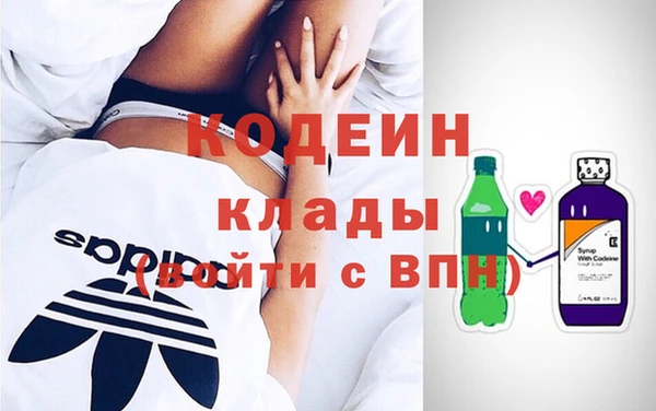 индика Арсеньев