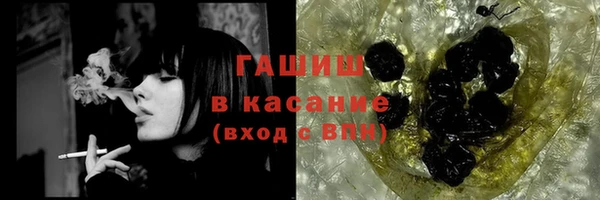 индика Арсеньев