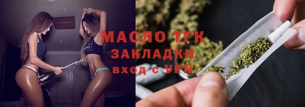 индика Арсеньев