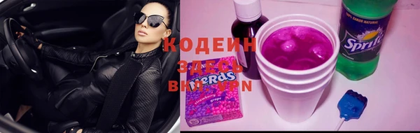 индика Арсеньев