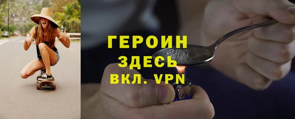 индика Арсеньев