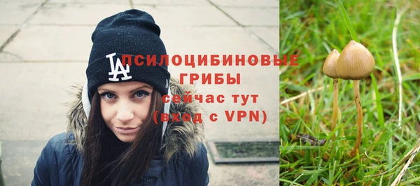 индика Арсеньев